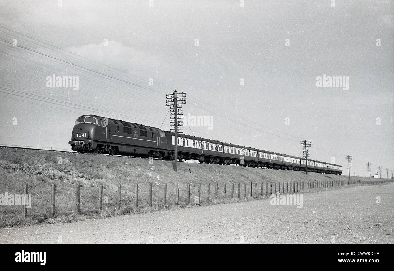 1960er Jahre, historische Diesellokomotive D841 der British Railways (Nr. 1C 41) auf der Schiene, England, Vereinigtes Königreich. 1960 wurde sie von der North British Locomotive Company gebaut und 1971 in Betrieb genommen. Stockfoto