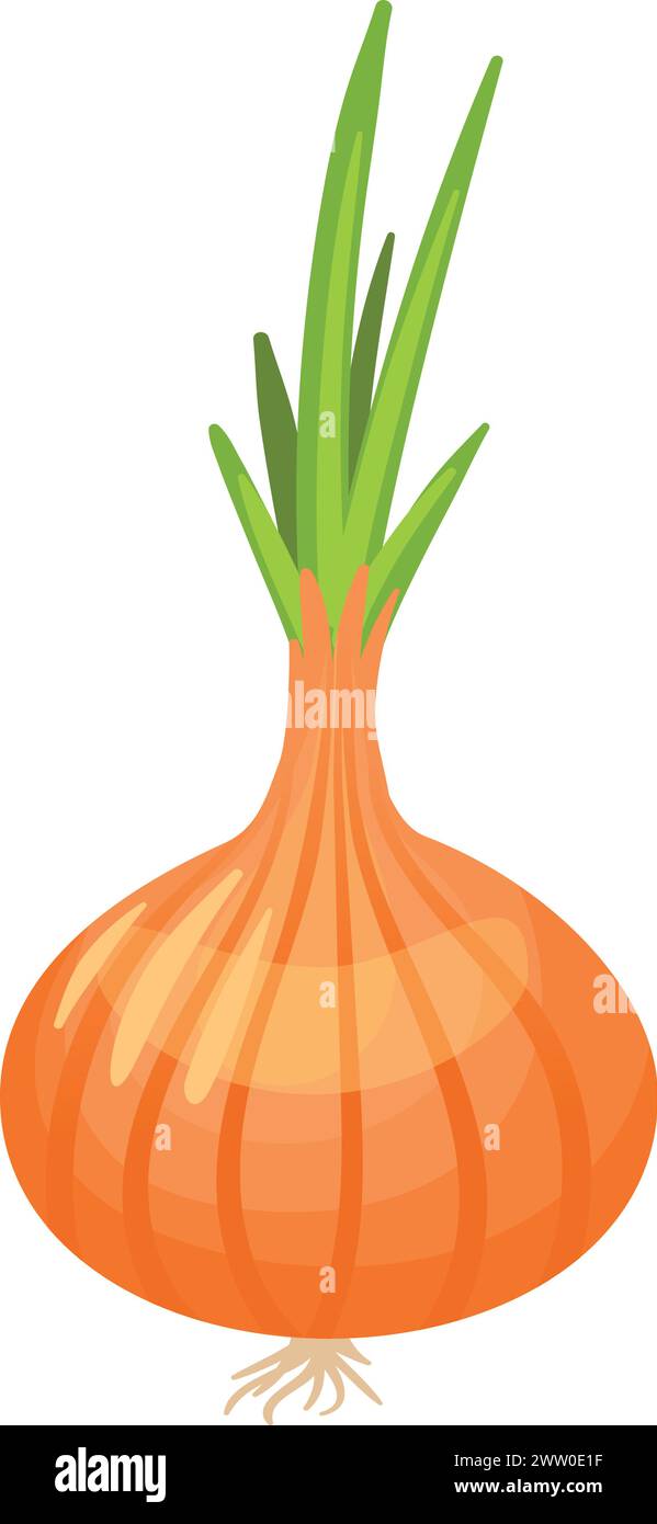 Zeichentrick-Zwiebelsymbol. Grünes, frisches, würziges Gemüse Stock Vektor