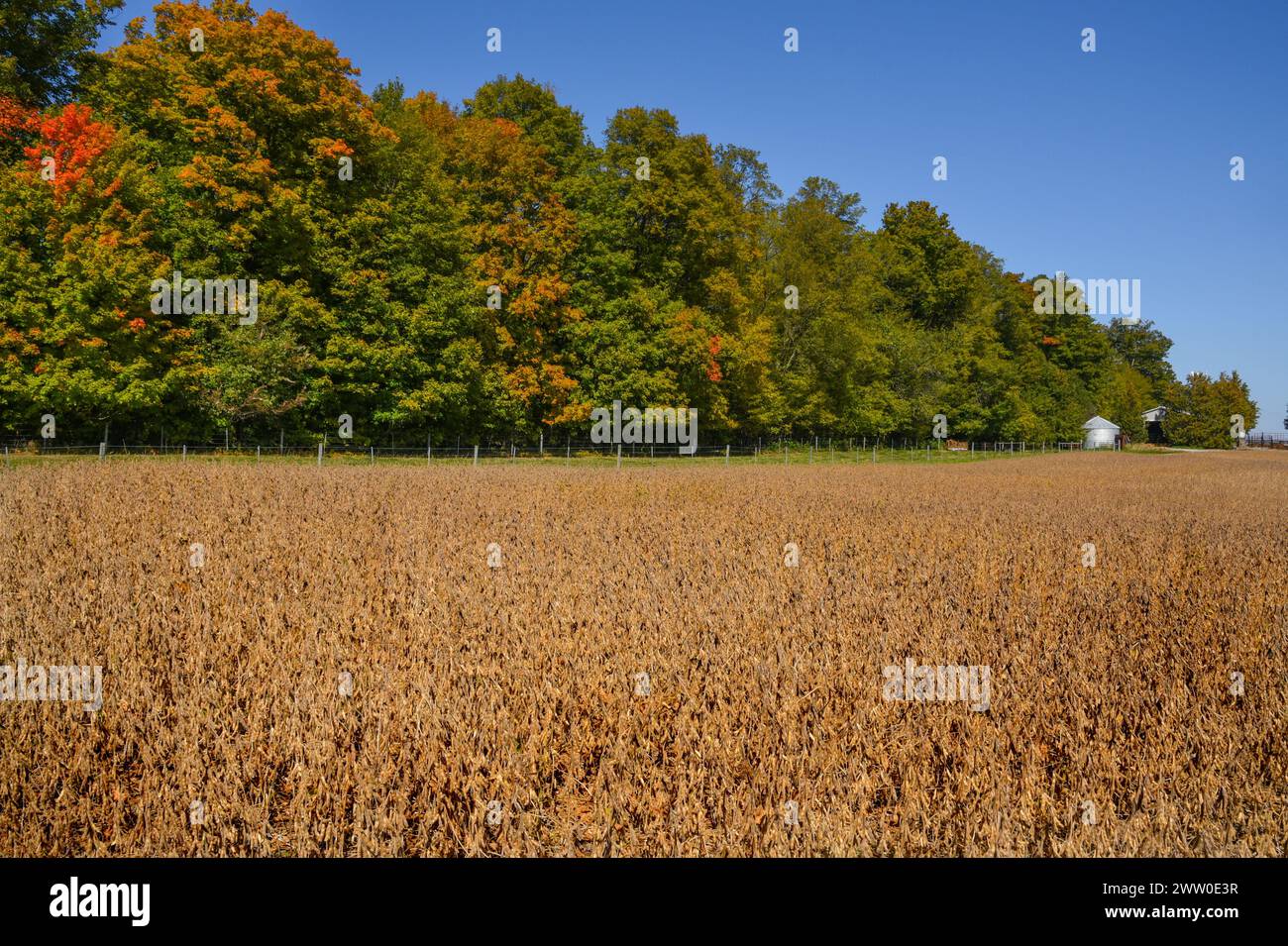 Ontario Farms Stockfoto