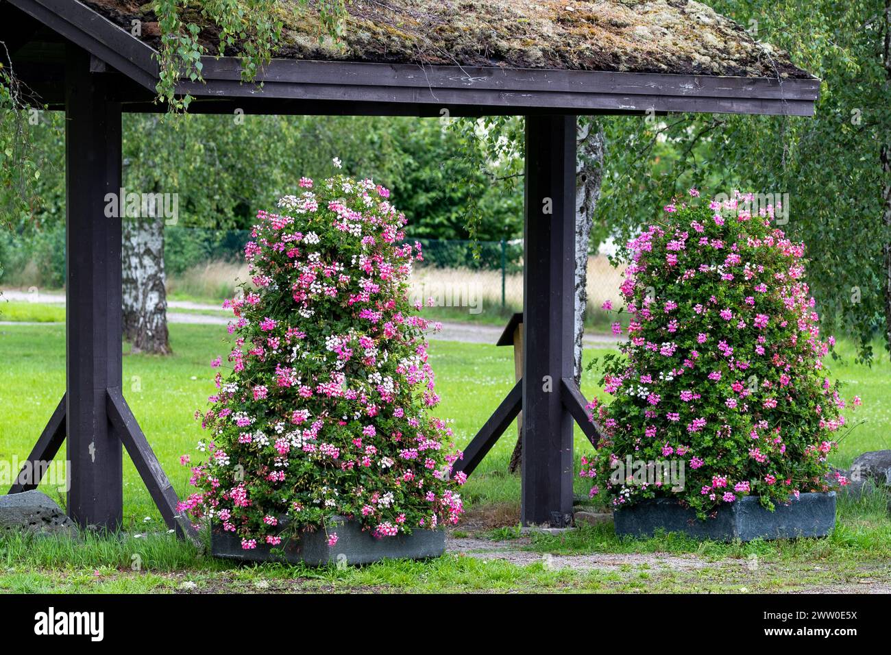 Rosafarbene Blumenarrangements und Holzportal im Eingang zum öffentlichen Park. Stockfoto