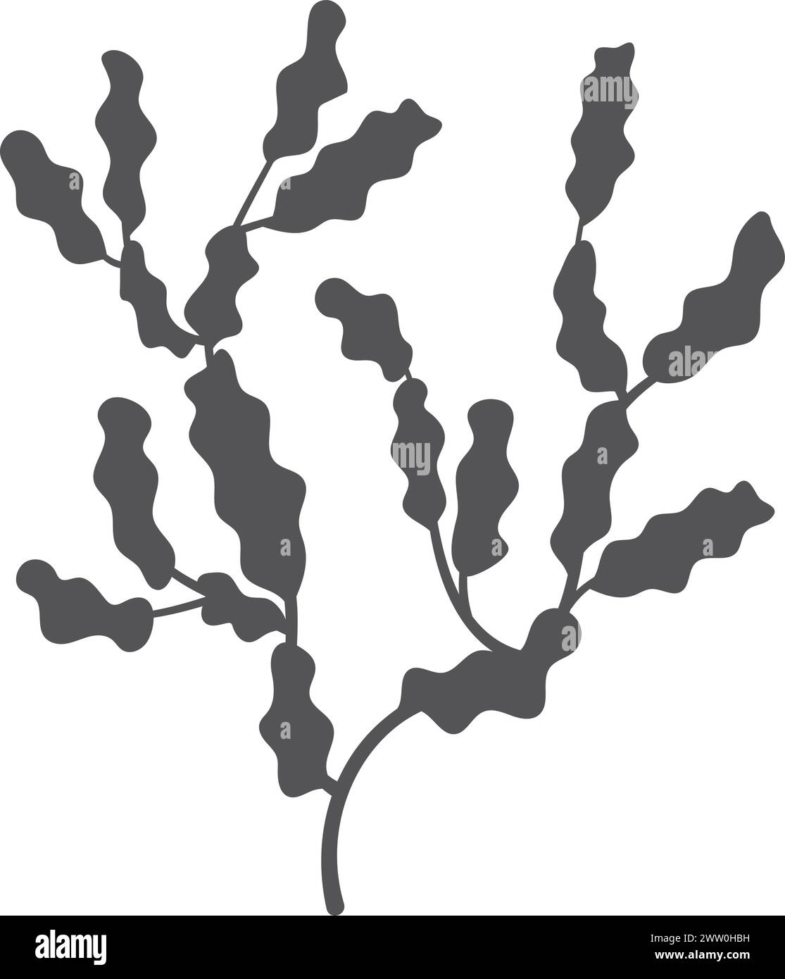 Schwarze Silhouette mit Seetang. Symbol für Meeresflora Stock Vektor