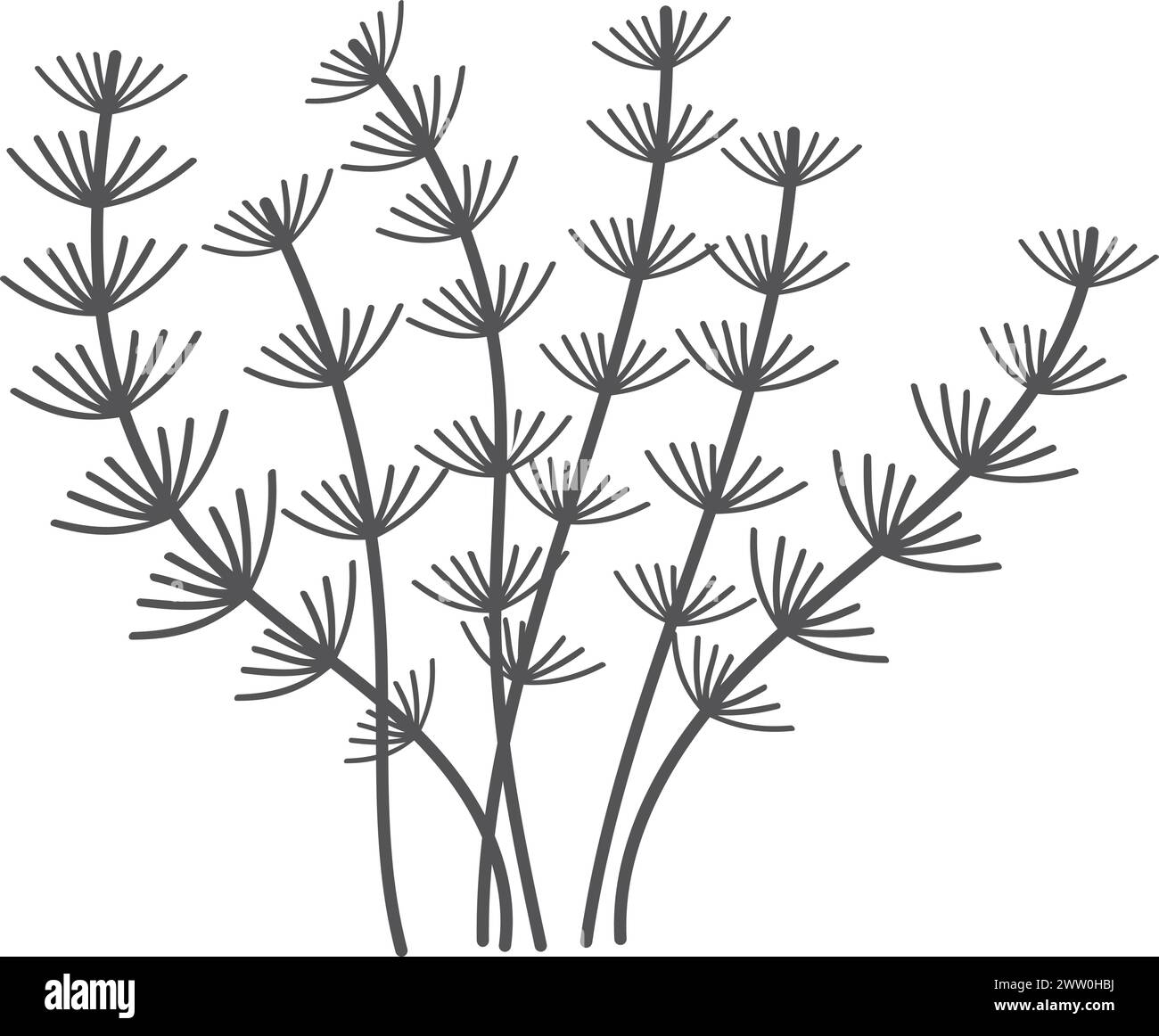 Silhouette der Algenpflanze. Symbol für die schwarze Unterwasserflora Stock Vektor