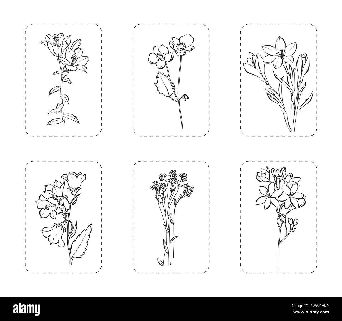 Satz von 6 Blumen Vektor-Illustration. Botanische Blumen umranden mit Blättern, isoliert auf weißem Hintergrund. Kritzeln Sie Blumen. Stock Vektor