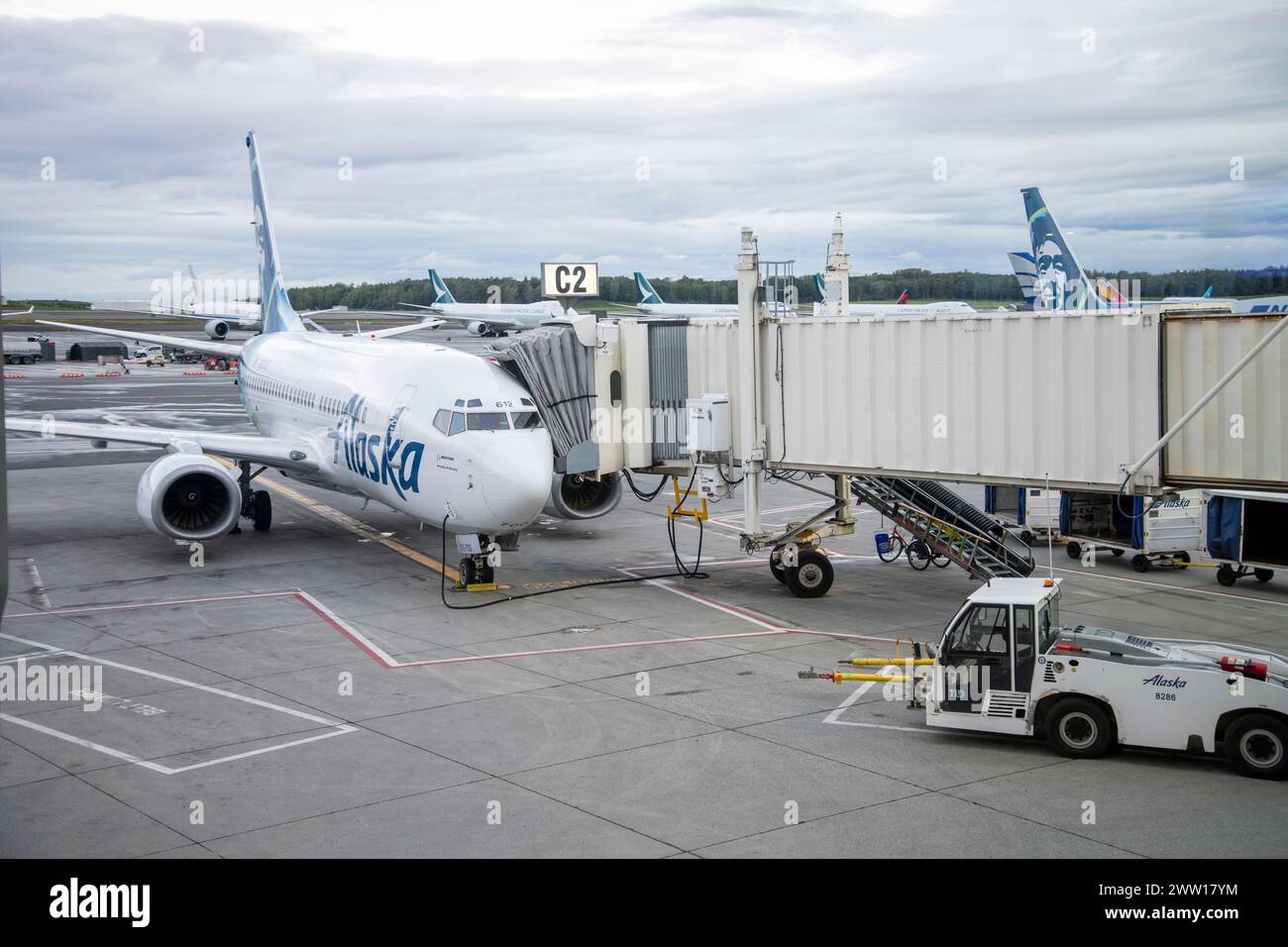 Anchorage, Alaska. Alaska Airlines am Lade-/Abflugsteig am Ted Stevens Anchorage International Airport. Stockfoto