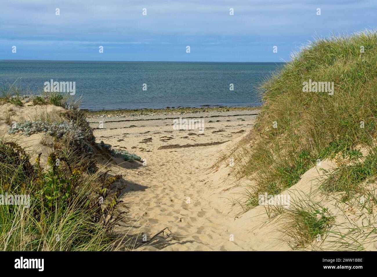 Brechen Sie im Sanddünen-Kliff zum Strand in der Cape Cod Bay unter hellem bewölktem Himmel Stockfoto