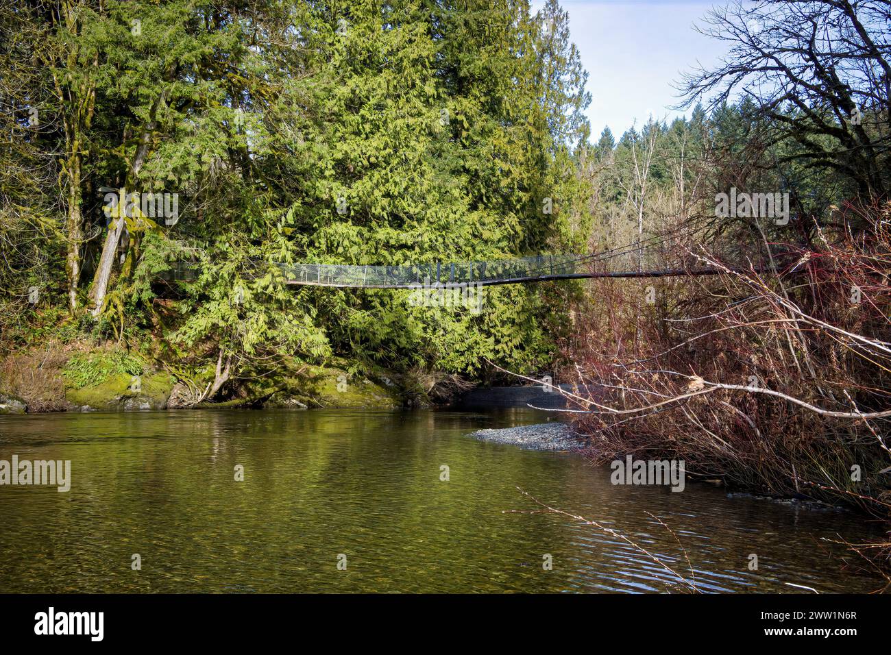 Foto der Hängebrücke, die über dem Koksilah River im Bright Angel Regional Park hängt. Stockfoto