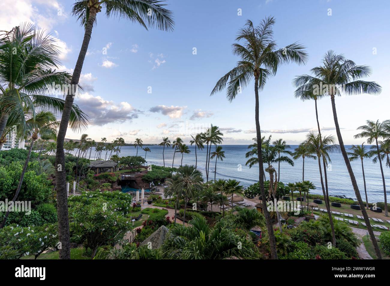 Blick auf den kristallblauen Pazifik und die hohen Palmen des Ka'anapali Beach, der sich in Lahaina, Hawaii, auf der Insel Maui befindet. Stockfoto