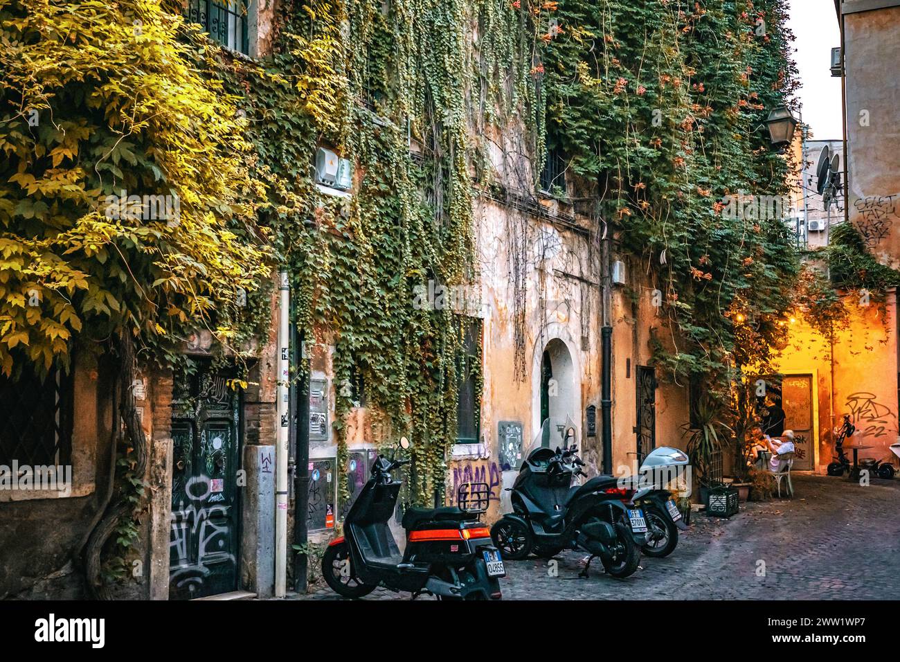 Rom, Italien - 14. August 2023: Altes Wohnhaus mit bewachsenem Efeu an einer Mauer und Graffiti Stockfoto