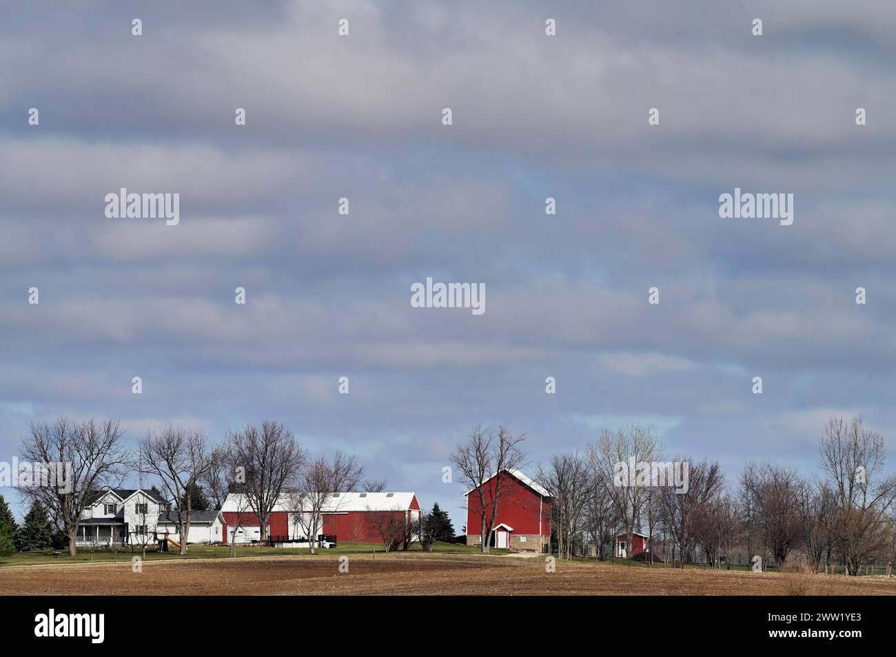 Steward, Illinois, USA. Scheunen, Silos und ein Farmhaus bilden die zahlreichen Bauten, die auf einer großen Farm im Norden von Illinois isoliert sind. Stockfoto