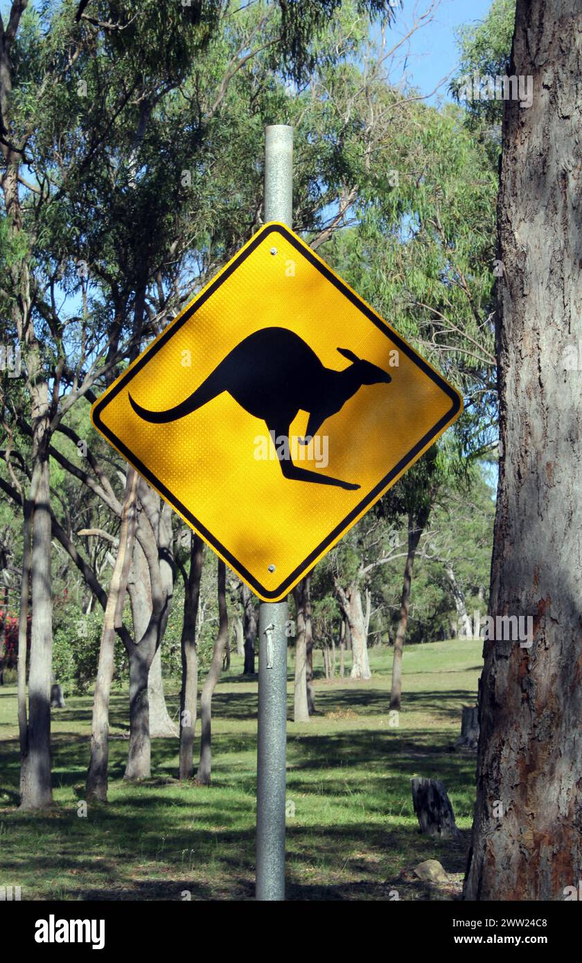 Gelbes Känguruüberquerungsschild im australischen Busch Stockfoto