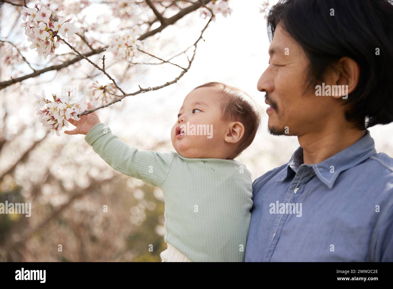 Ein Mann, der ein Baby hält und einen blühenden Baum ansieht Stockfoto