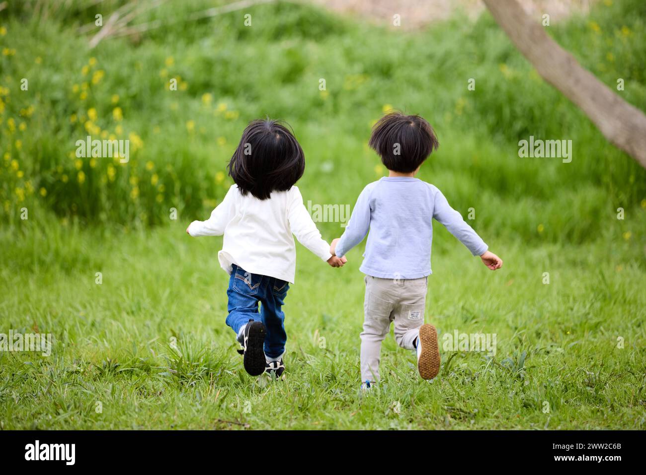 Zwei kleine Kinder, die durch ein Feld rennen Stockfoto