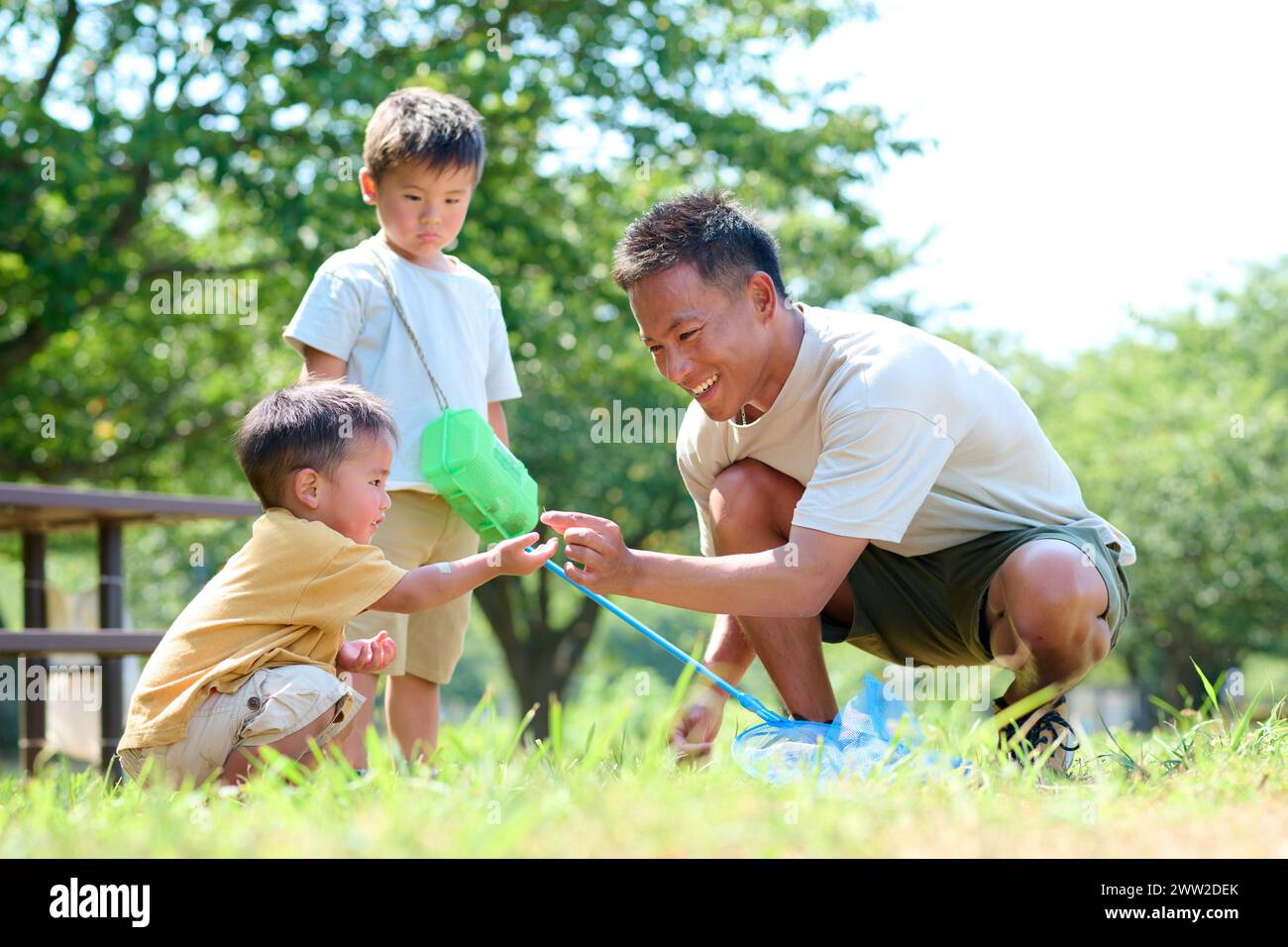 Ein Mann und Kinder spielen im Gras Stockfoto