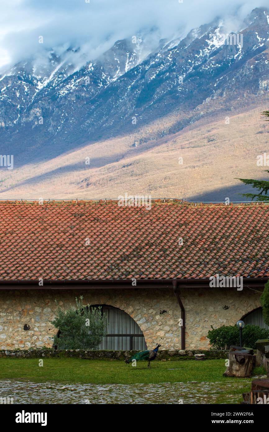 Saint Naum, Klosterhof, mit königlichem Vogel, Pfau. Und Berg Galicica, im Hintergrund. Wunderschöne Winterlandschaft. Ohrid Mazedonien 2024. Stockfoto