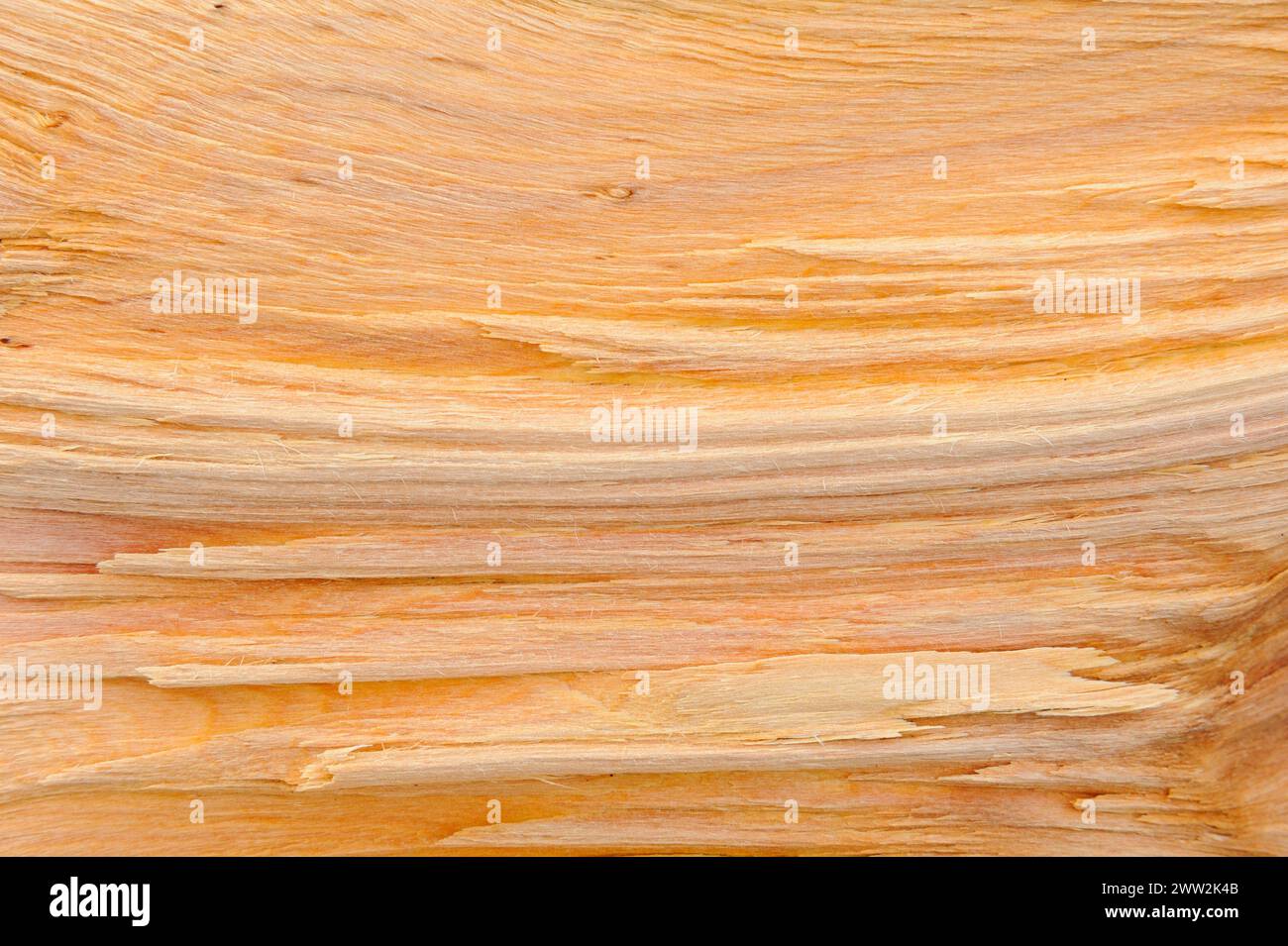 Detaillierte Nahaufnahme einer strukturierten Holzoberfläche, die natürliche Kornmuster und Unvollkommenheiten zeigt. Stockfoto