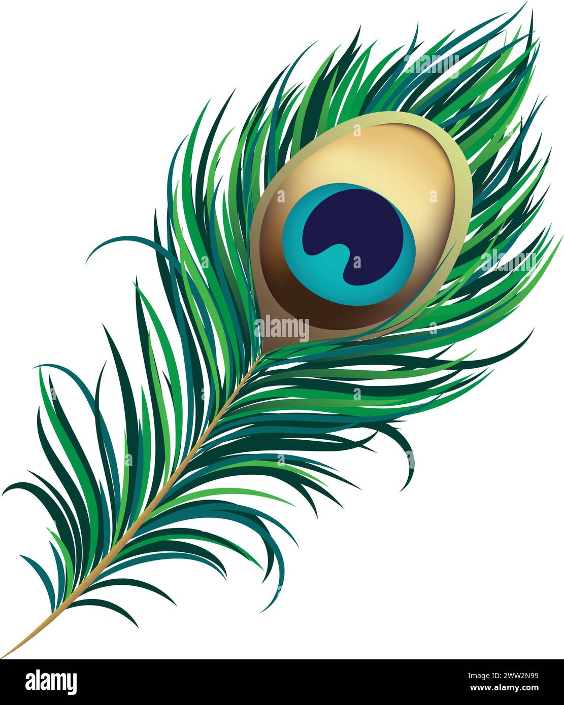 Pfauenfeder Vektor-Illustration für Dekoration, Janmashtami, Feder-Logo Stock Vektor