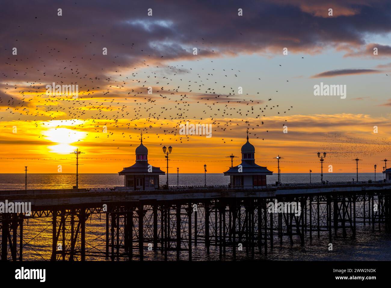 Blackpool bei Sonnenuntergang mit Starling Murmeln am North Pier. Stockfoto