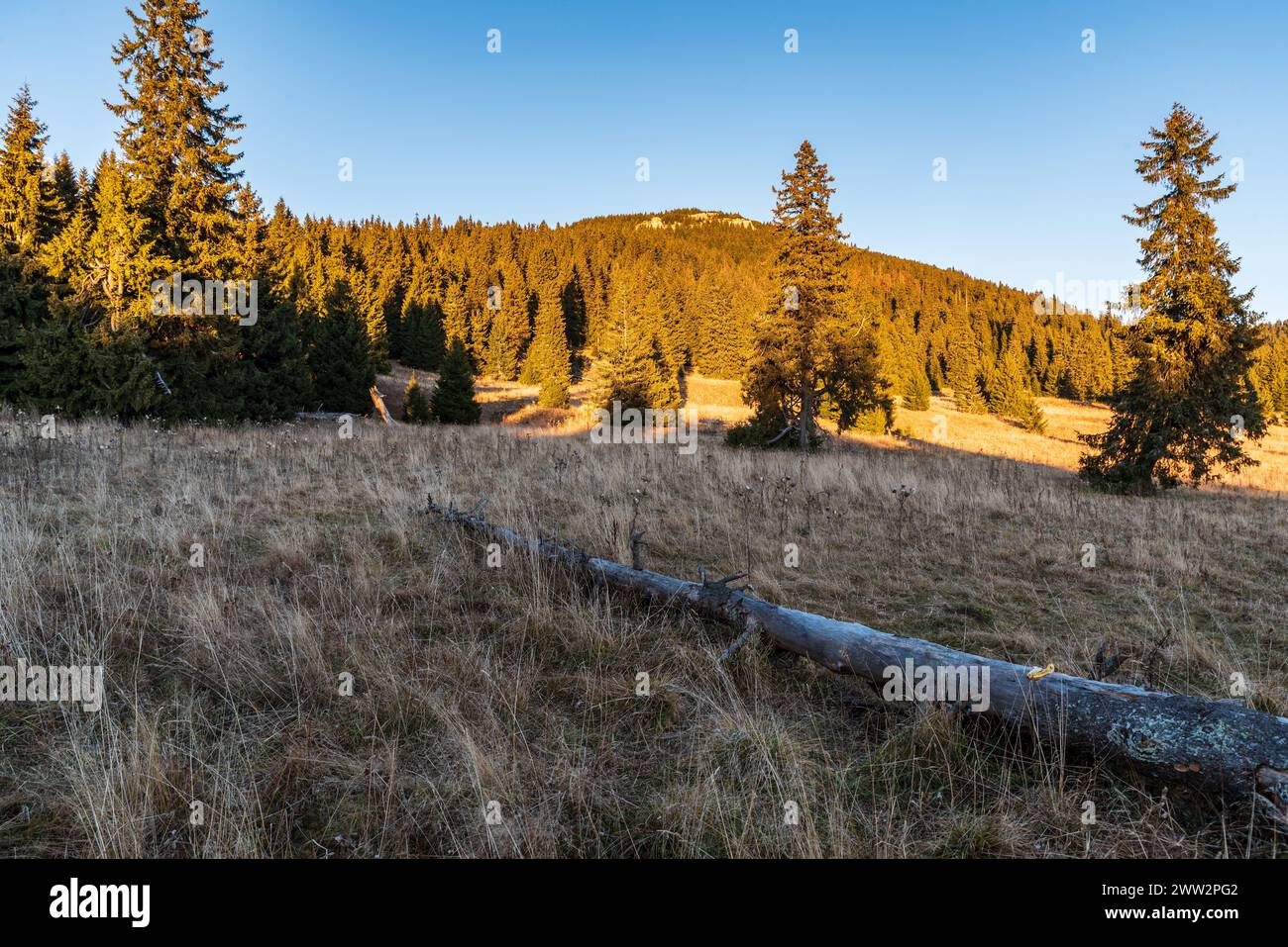 Stredna polana mit Velky Choc-Hügel über den Chocske vrchy-Bergen in der Slowakei im Spätherbst Stockfoto