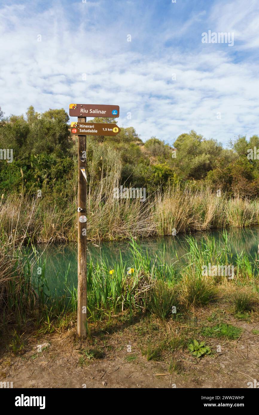 Marjal de Pego-Oliva Wetland Naturpark, Valencia Stockfoto