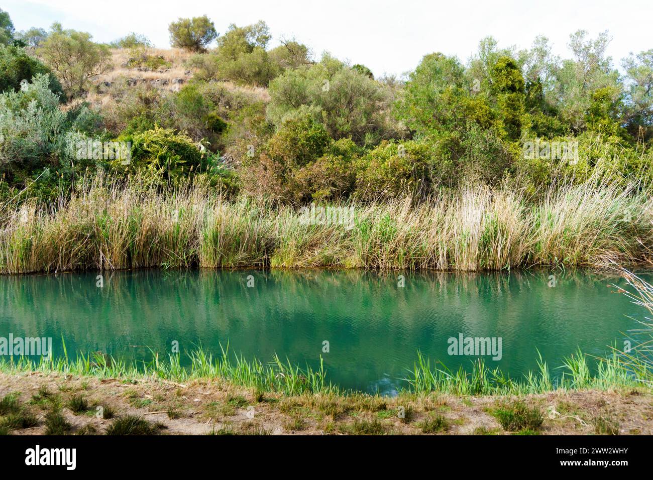 Marjal de Pego-Oliva Wetland Naturpark, Valencia Stockfoto