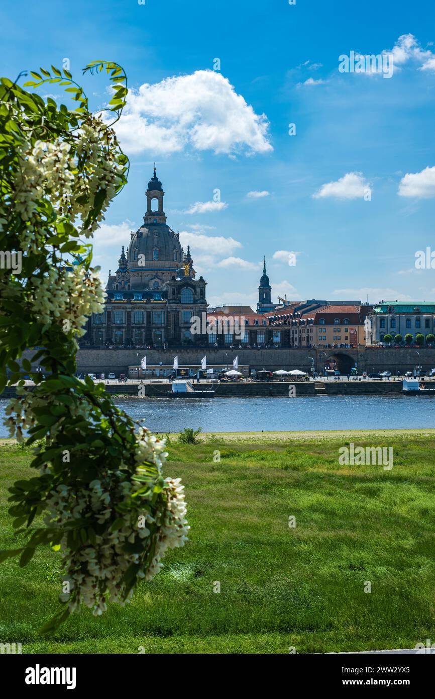 Frauenkirche und Brühler Terrasse vom gegenüberliegenden Elbufer aus gesehen, Dresden, Sachsen, Deutschland. Stockfoto