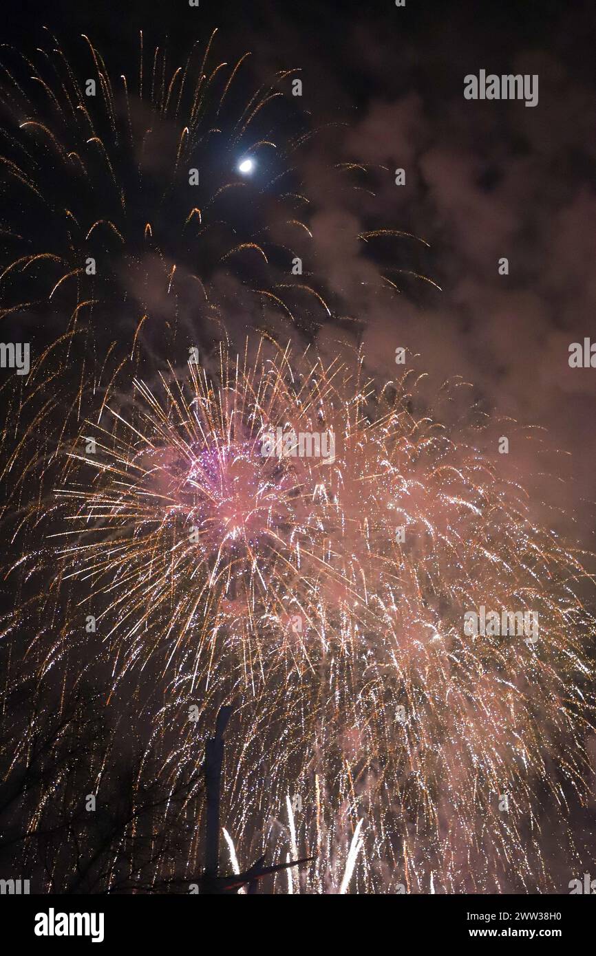 Das wunderschöne Feuerwerk in verschiedenen Farben und Formen explodiert am Himmel von Valencia während der Fallas-Feier Stockfoto