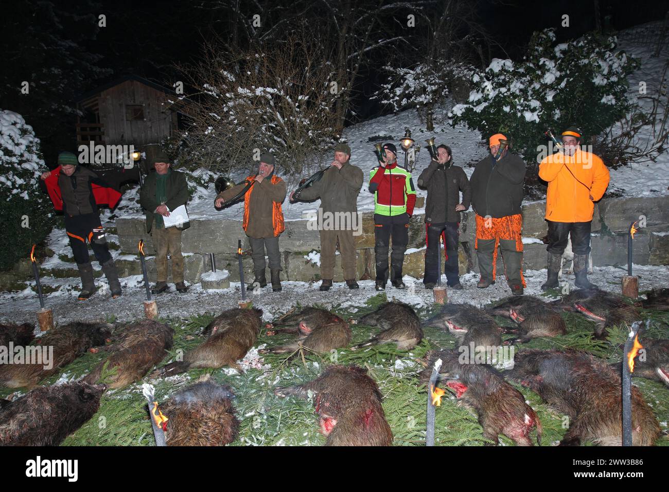 Wildschweinjagd, Ende der Jagd, gejagte Sauen (Sus scrofa), Jäger und Jagdhornspieler an der rationelle Streckenlegung, Allgaeu, Bayern Stockfoto