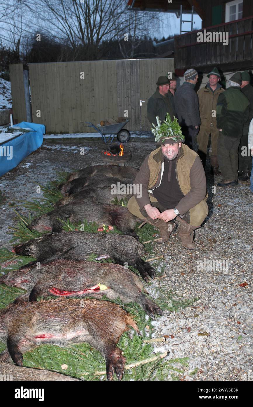 Wildschwein (Sus scrofa) Ende der Jagd, Jäger, erschießender König mit 7 getöteten Sauen, Tradition, Allgaeu, Bayern, Deutschland Stockfoto