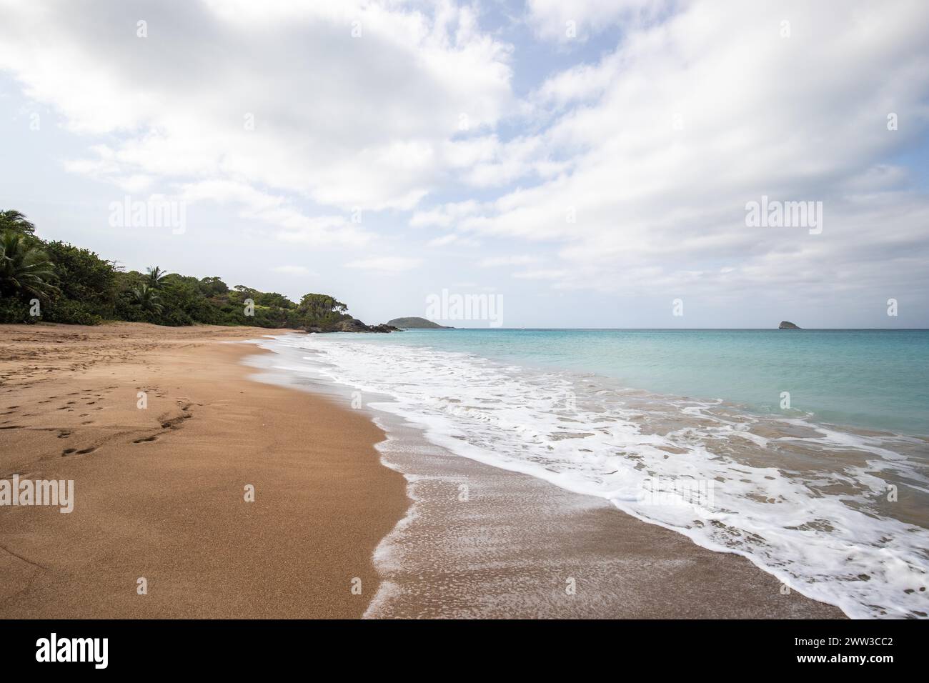 Einsamer, breiter Sandstrand mit türkisfarbenem Meer. Tropische Pflanzen in einer Bucht in der karibischen Sonne. Plage de Cluny, Basse Terre, Guadeloupe Stockfoto