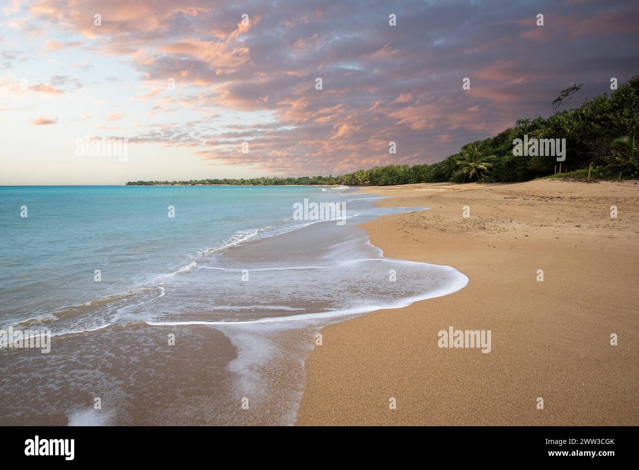 Einsamer, breiter Sandstrand mit türkisfarbenem Meer. Tropische Pflanzen in einer Bucht bei Sonnenuntergang in der Karibik. Plage de Cluny, Basse Terre, Guadeloupe Stockfoto