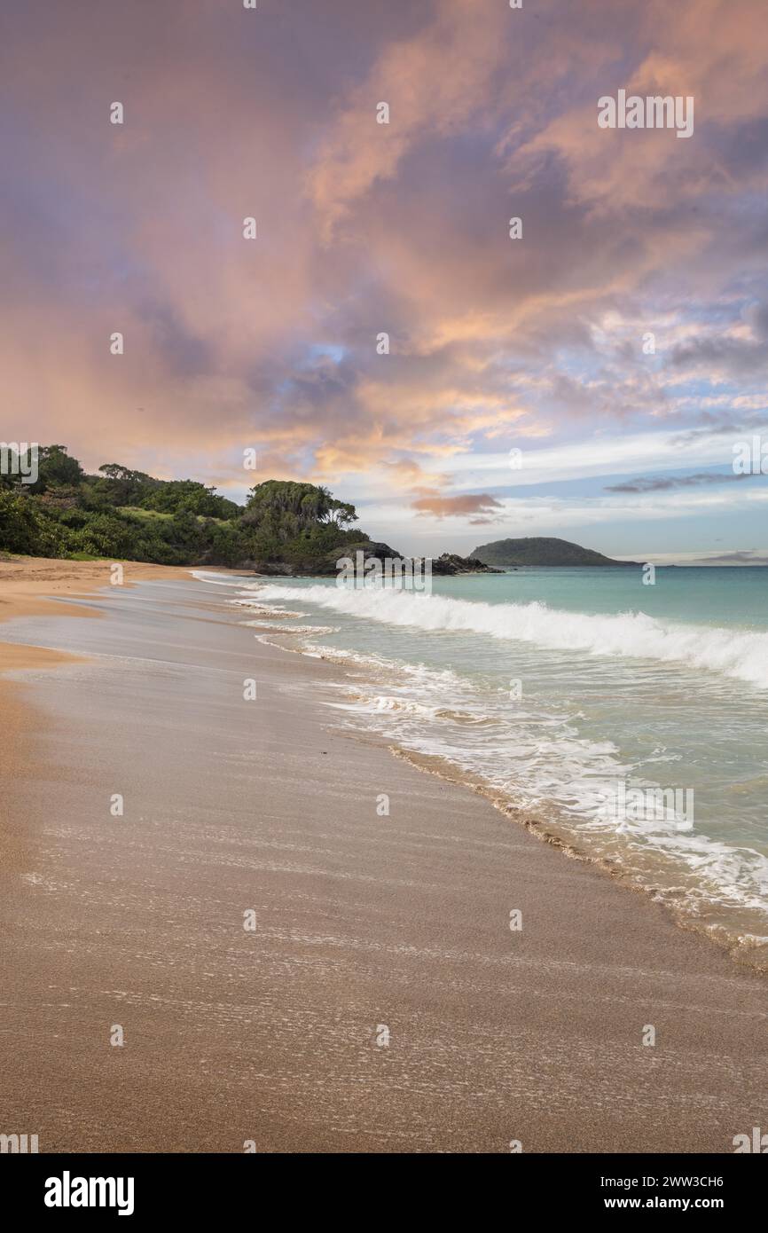 Einsamer, breiter Sandstrand mit türkisfarbenem Meer. Tropische Pflanzen in einer Bucht bei Sonnenuntergang in der Karibik. Plage de Cluny, Basse Terre, Guadeloupe Stockfoto