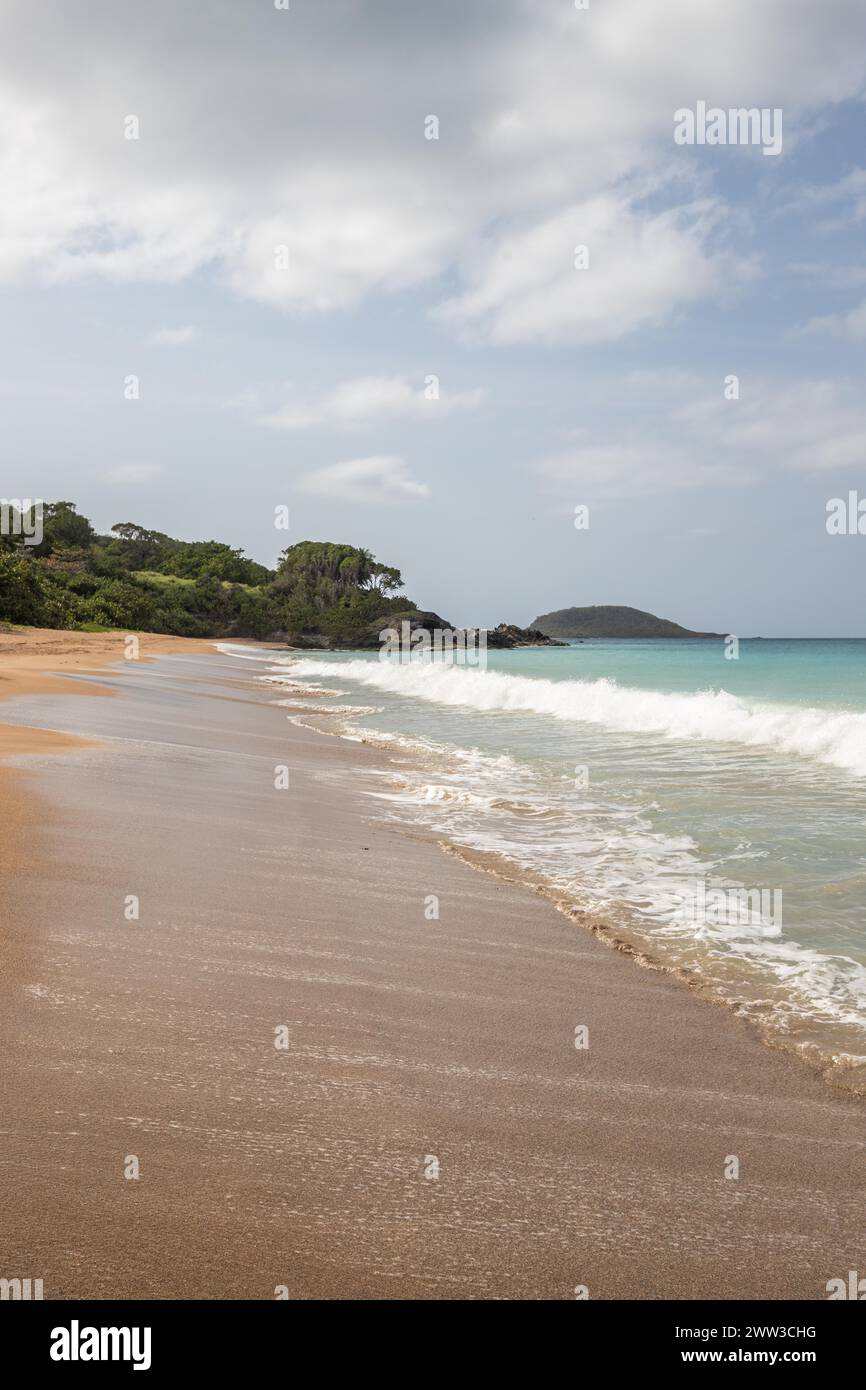 Einsamer, breiter Sandstrand mit türkisfarbenem Meer. Tropische Pflanzen in einer Bucht in der karibischen Sonne. Plage de Cluny, Basse Terre, Guadeloupe Stockfoto