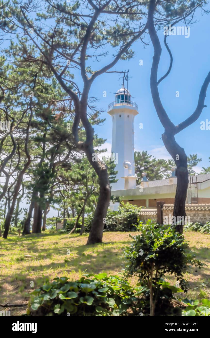 In Ulsan, Südkorea, erhebt sich ein weißer Leuchtturm inmitten grüner Blätter vor einem hellblauen Himmel Stockfoto