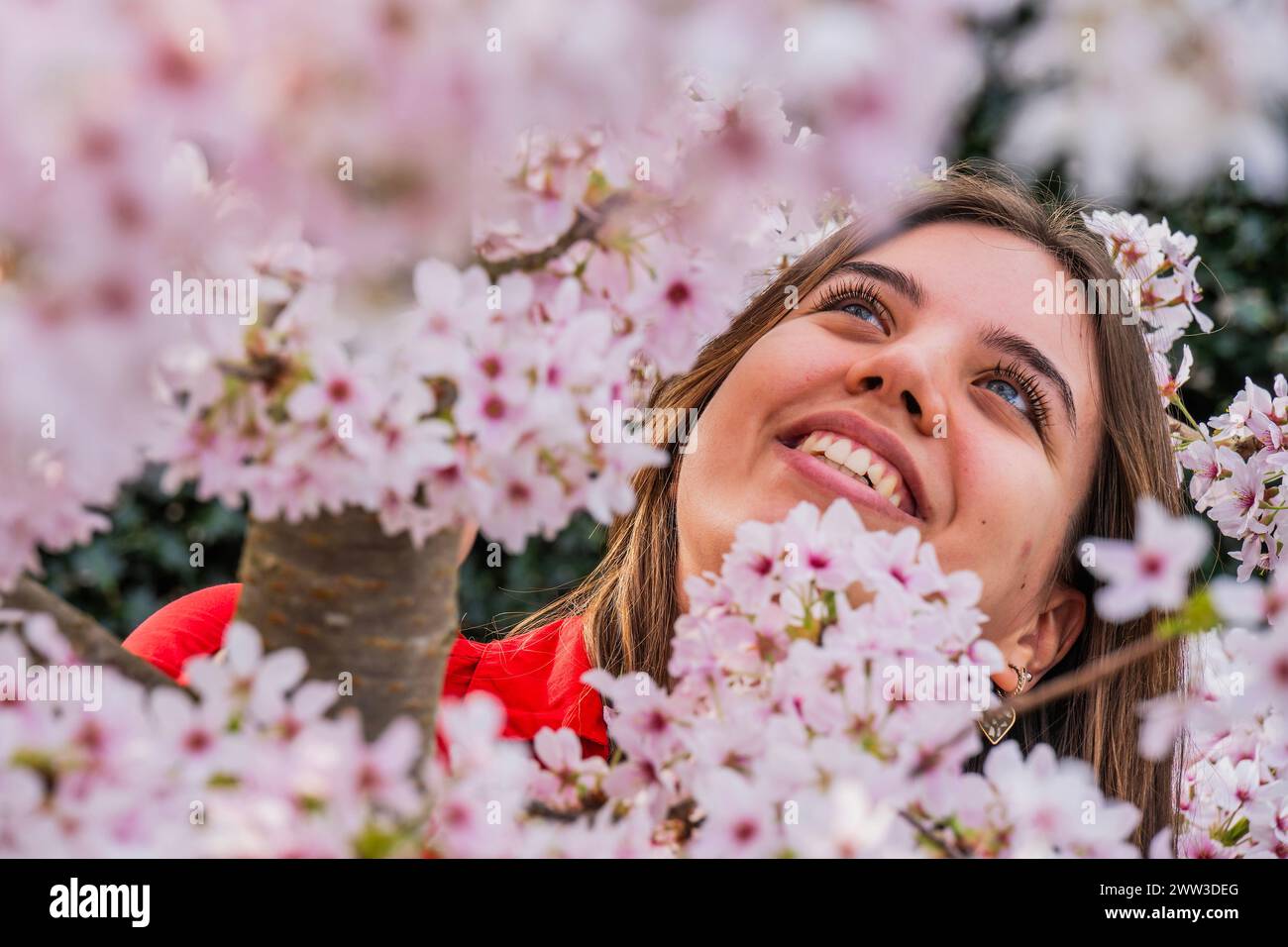 London, Großbritannien. März 2024. Kew-Mitarbeiter genießen das Yoshino Cherry Blossom - Sounds of Blossom: Awake Your SENES - das erste Blütenfestival von Kew Gardens überhaupt. Das Festival findet von Samstag, 23. März bis Sonntag, 14. April 2024 statt. Es ist die erste Zusammenarbeit dieser Art mit dem Royal College of Music und schafft ein immersives saisonales Erlebnis. Guy Bell/Alamy Live News Stockfoto