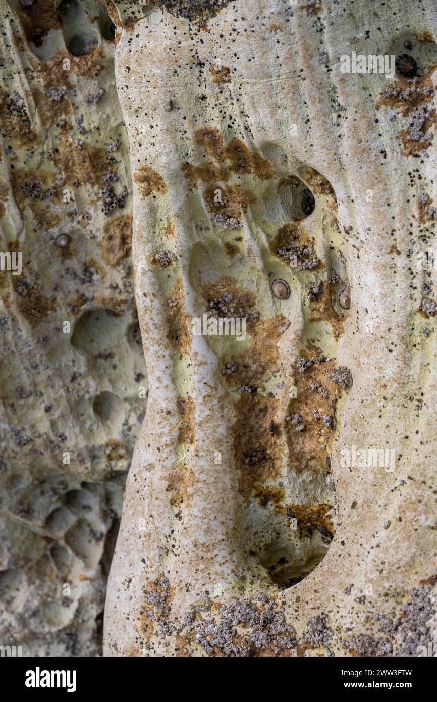 Erosion im weißen Felsen an der Küste bei Sarakinikoer, Milos, Kykladen, Griechenland Stockfoto