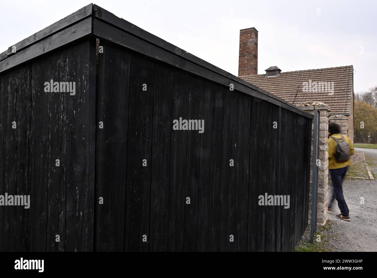 Weimar, Deutschland. März 2024. Das ehemalige Krematorium der Gedenkstätte Buchenwald. Nach der Befreiung des Lagers im April 1945 wurden menschliche Überreste, die von der SS in Buchenwald zur Herstellung makaberer „Geschenkartikel“ verwendet wurden, als Beweise in der Gedenksammlung aufbewahrt. Da diese Verbrechen und die Echtheit der überlebenden menschlichen Überreste in historischen revisionistischen Kreisen immer wieder in Frage gestellt werden, hat die Gedenkstätte Buchenwald beschlossen, neue forensische Berichte in auftrag zu geben. Quelle: Martin Schutt/dpa/Alamy Live News Stockfoto