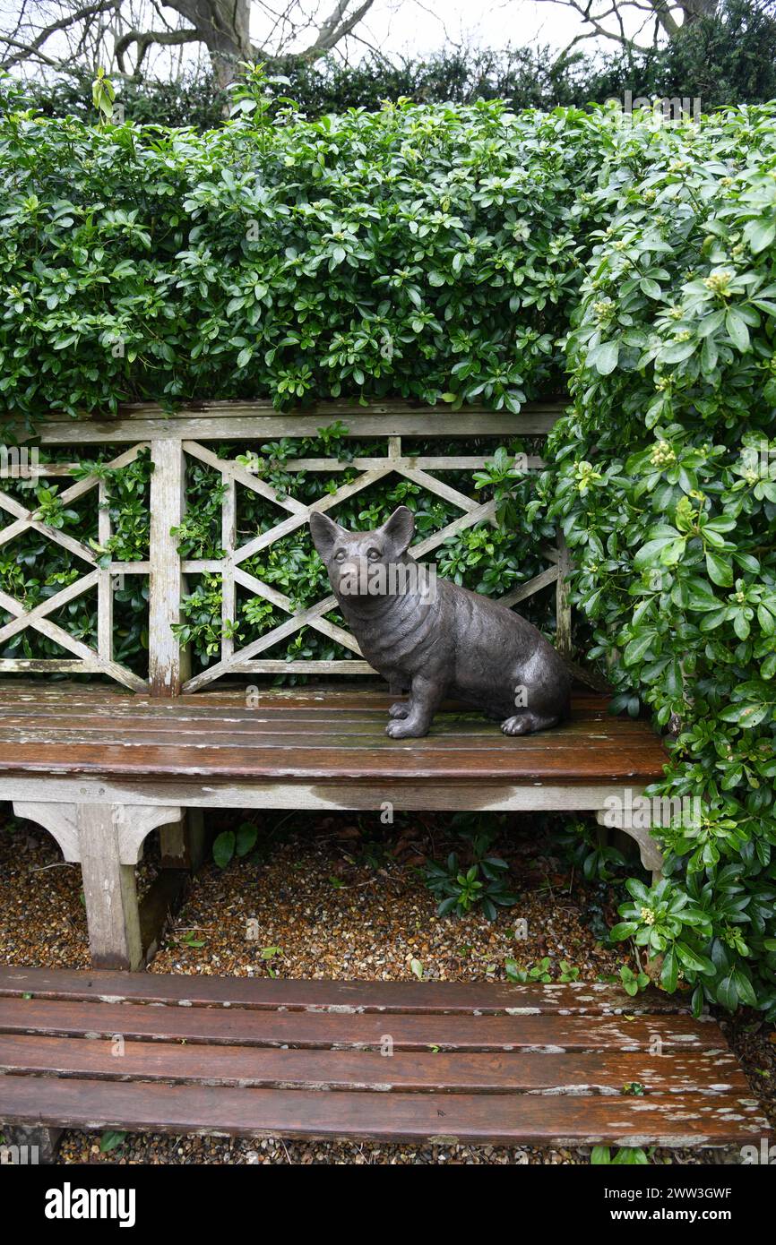 Zierhund auf Bank Stockfoto