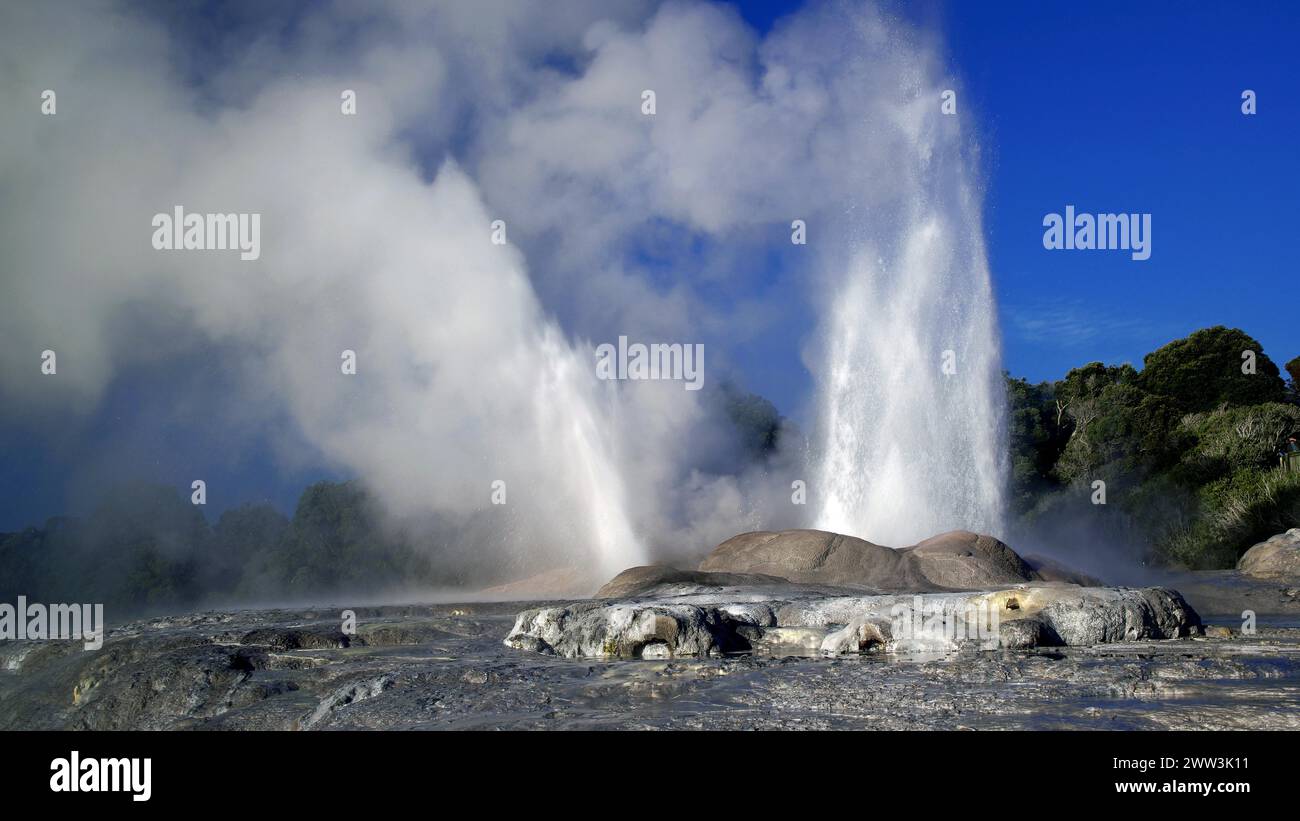 Geysir auf der Nordinsel Neuseelands, Whakarewarewa, Nordinsel, Neuseeland Stockfoto