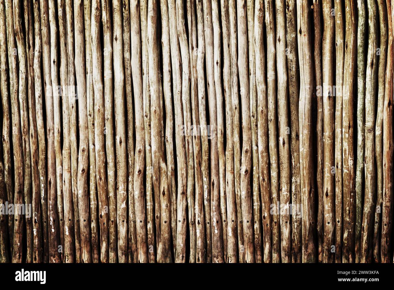 Holz, Baumstamm und Stab fr Holz, Muster und Linien fr Textur und Bambus  fr Tapeten und Erde in der Nhe. Holz und Brennholz zusammen fr Braun  Stockfotografie - Alamy