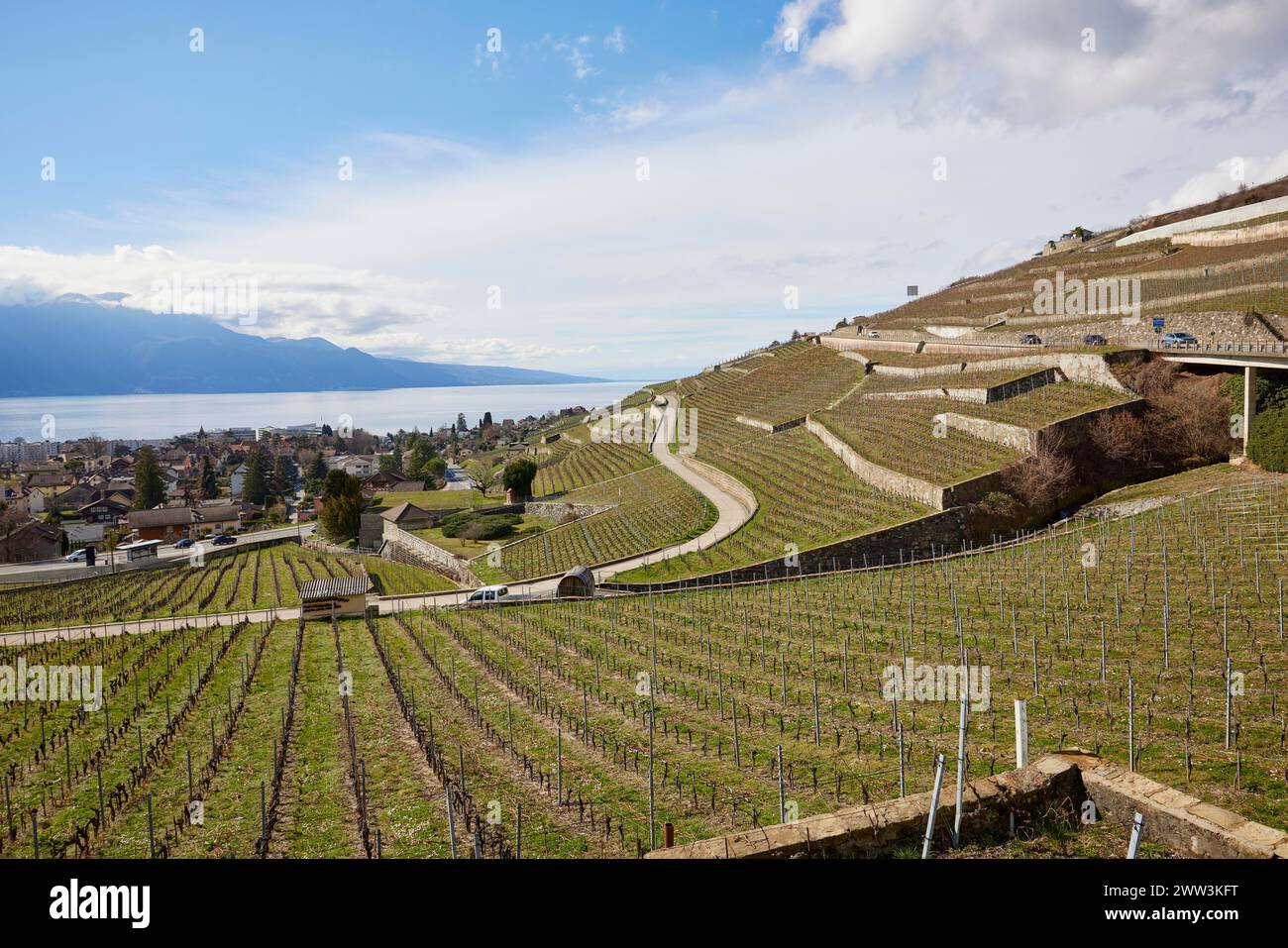 Weingärten und Straßen im UNESCO-Weltkulturerbe Lavaux Weingärten mit Blick auf den Genfer See in der Nähe von Corsier-sur-Vevey Stockfoto