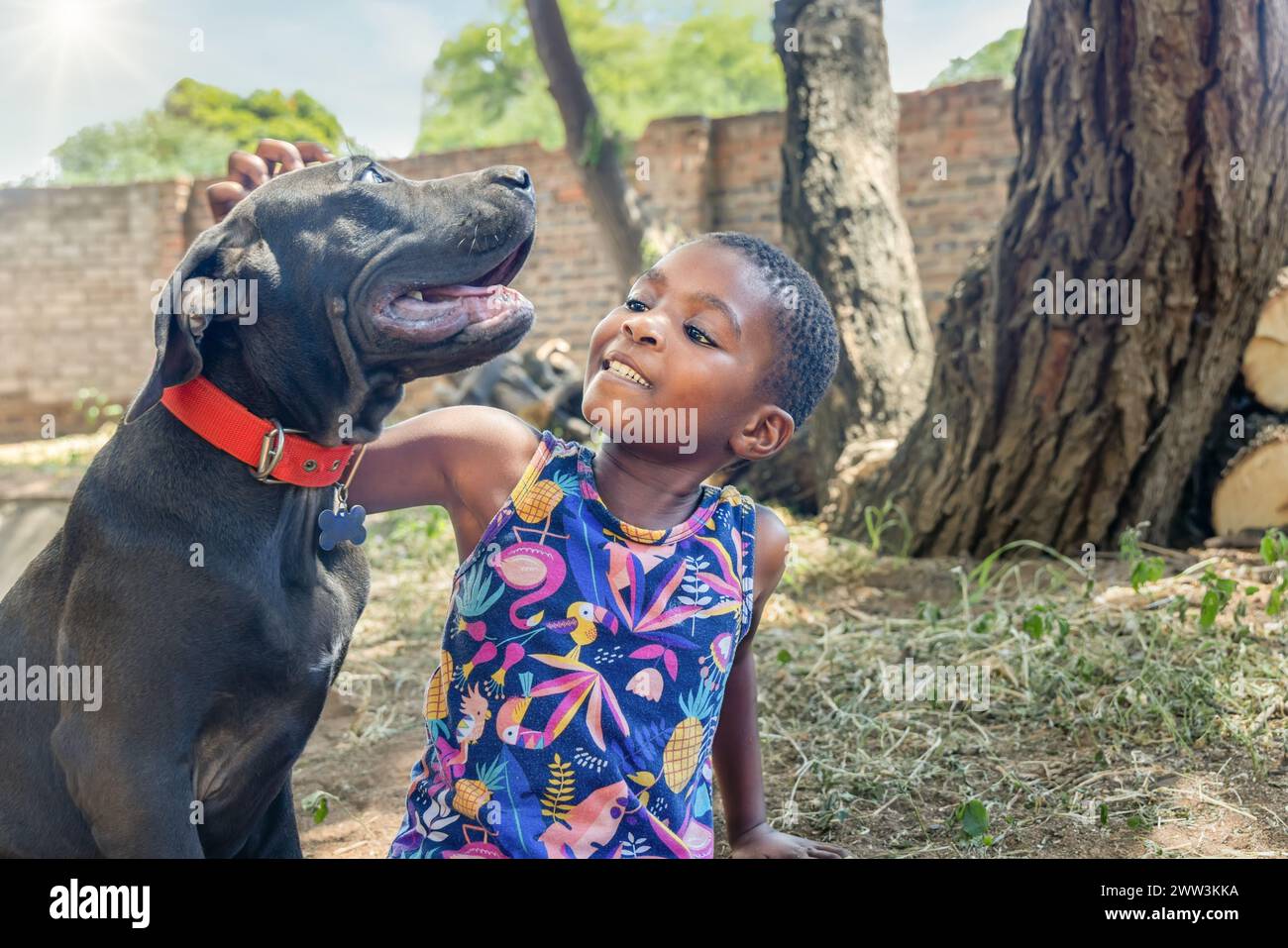 afrikanisches Mädchen, das mit ihrem Boerboel-Hund im Garten spielt Stockfoto