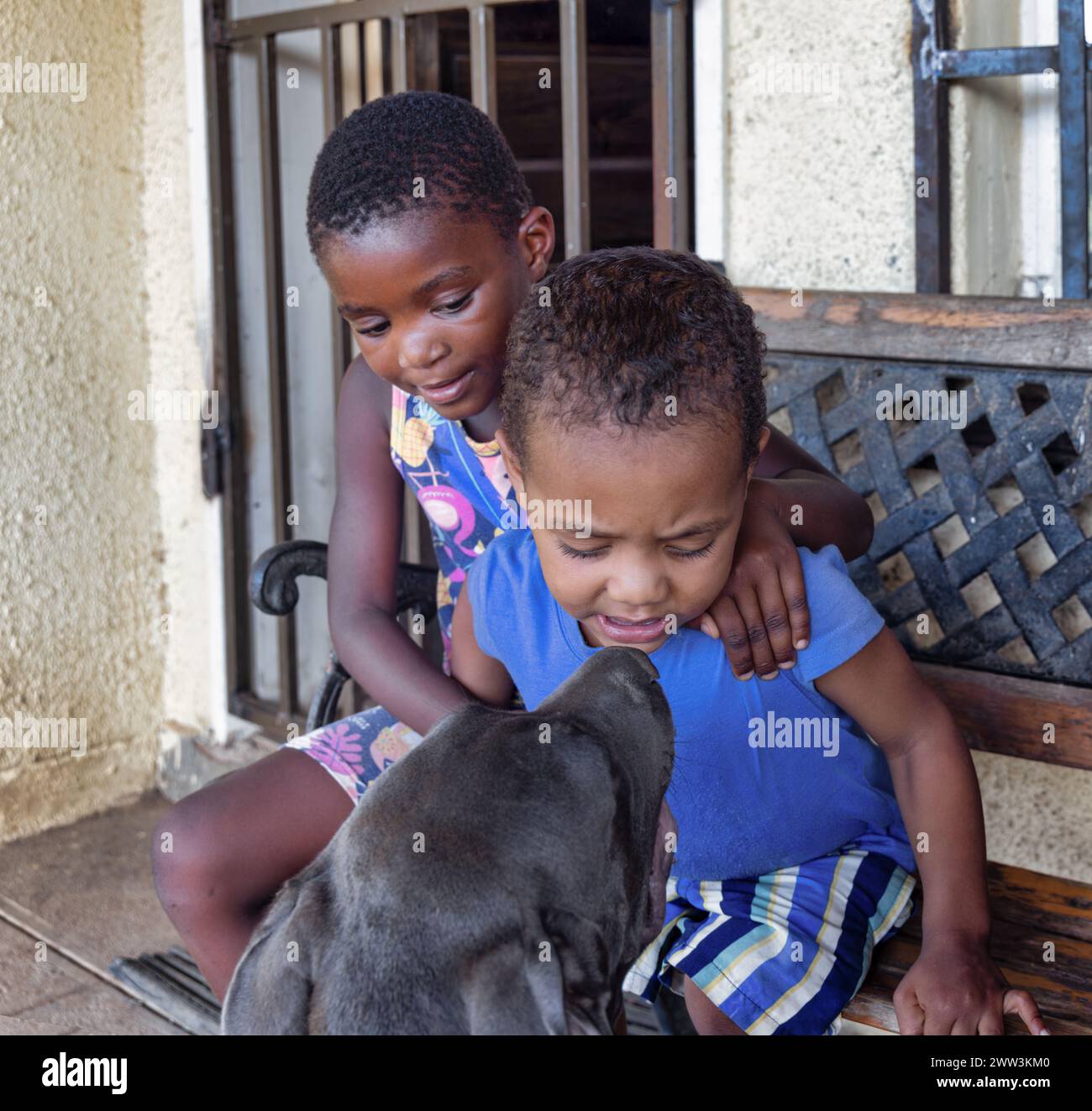 afrikanisches Mädchen und Junge spielen mit ihrem Boerboel-Welpen vor dem Haus Stockfoto