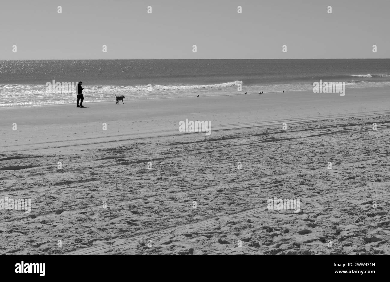 Ein Stockfoto zeigt einen Mann, der mit seinem Hund am Strand von Garden City in der Nähe von Myrtle Beach in South Carolina, USA, spaziert. Stockfoto