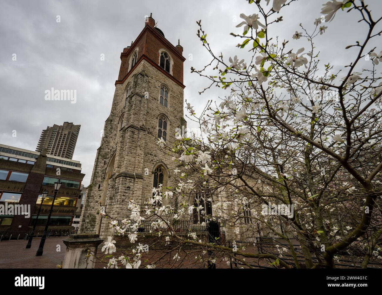 London, Großbritannien: St Giles Cripplegate, eine gotische Kirche auf dem Barbican Estate in London mit einem Baum im Vordergrund. Stockfoto