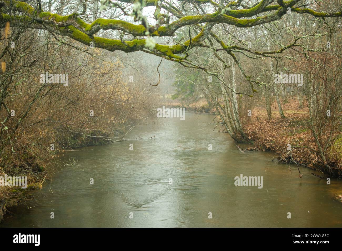 In der stillen Atmosphäre der Abenddämmerung fließt der stimmungsvolle Fluss, sein Wasser ist ein Spiegel für die Introspektion der Seele und fängt das Wesen der Einsamkeit und des Geheimnisses ein Stockfoto