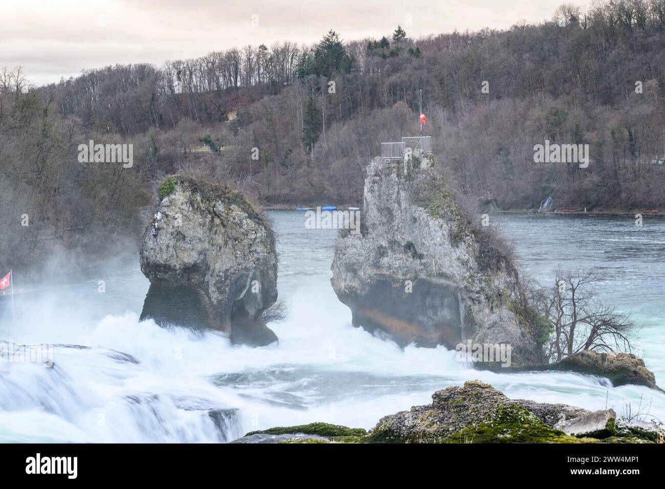 Fels mit Schweizer Flagge am Rheinfall unterhalb des Schlosses laufen. Rheinfall, Neuhausen Schweiz, 24.01.2024, Foto: HMB Media/Uwe Koch Stockfoto