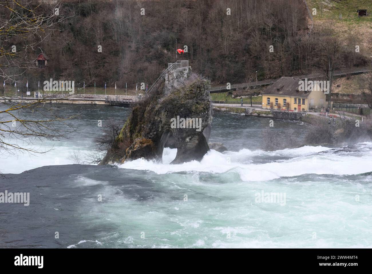 Fels mit Schweizer Flagge am Rheinfall unterhalb des Schlosses laufen. Rheinfall, Neuhausen Schweiz, 24.01.2024, Foto: HMB Media/Uwe Koch Stockfoto
