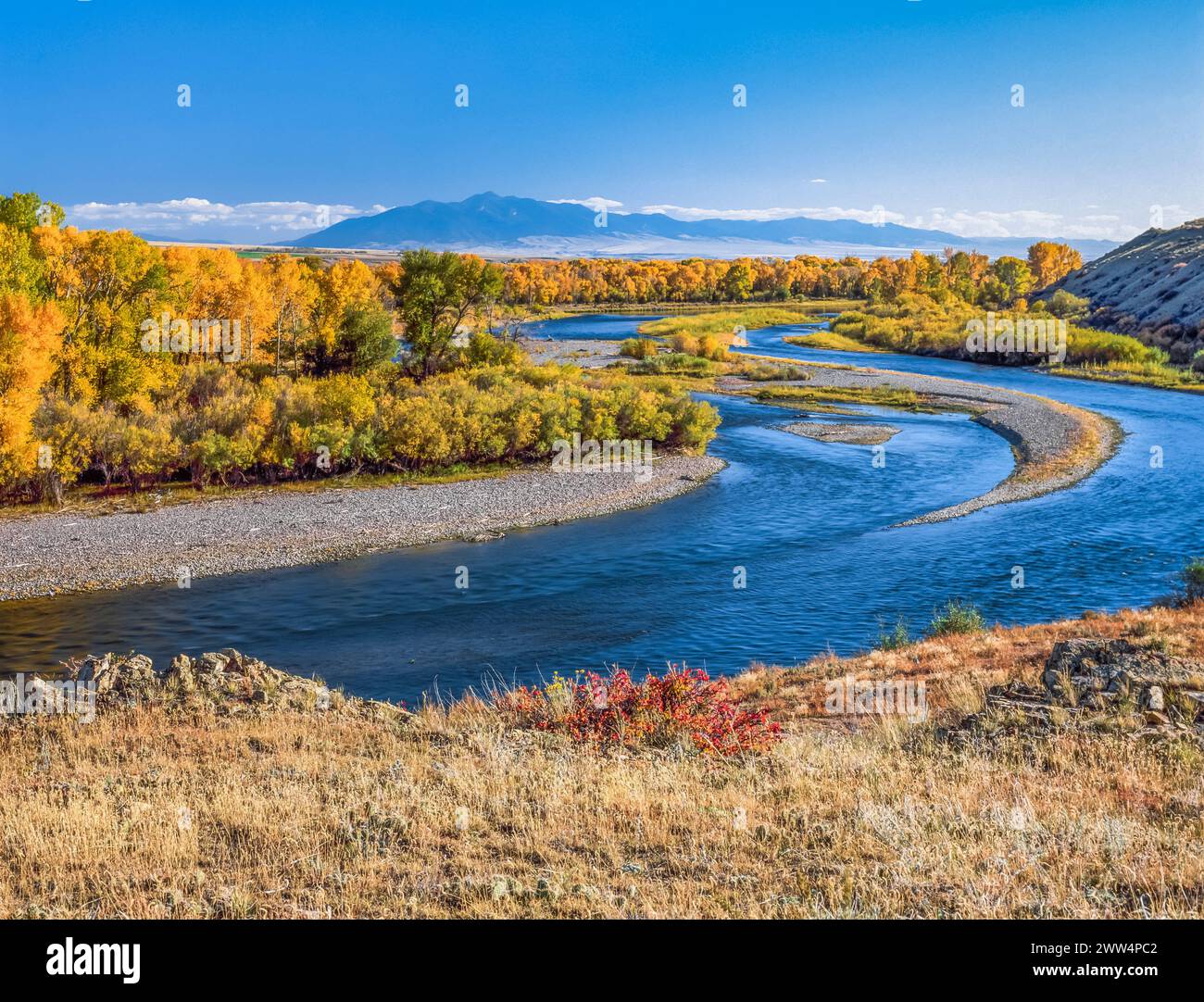 Herbstfarben Sie entlang des Flusses Jefferson unter Ruby liegen in der Nähe von zwei Brücken, montana Stockfoto
