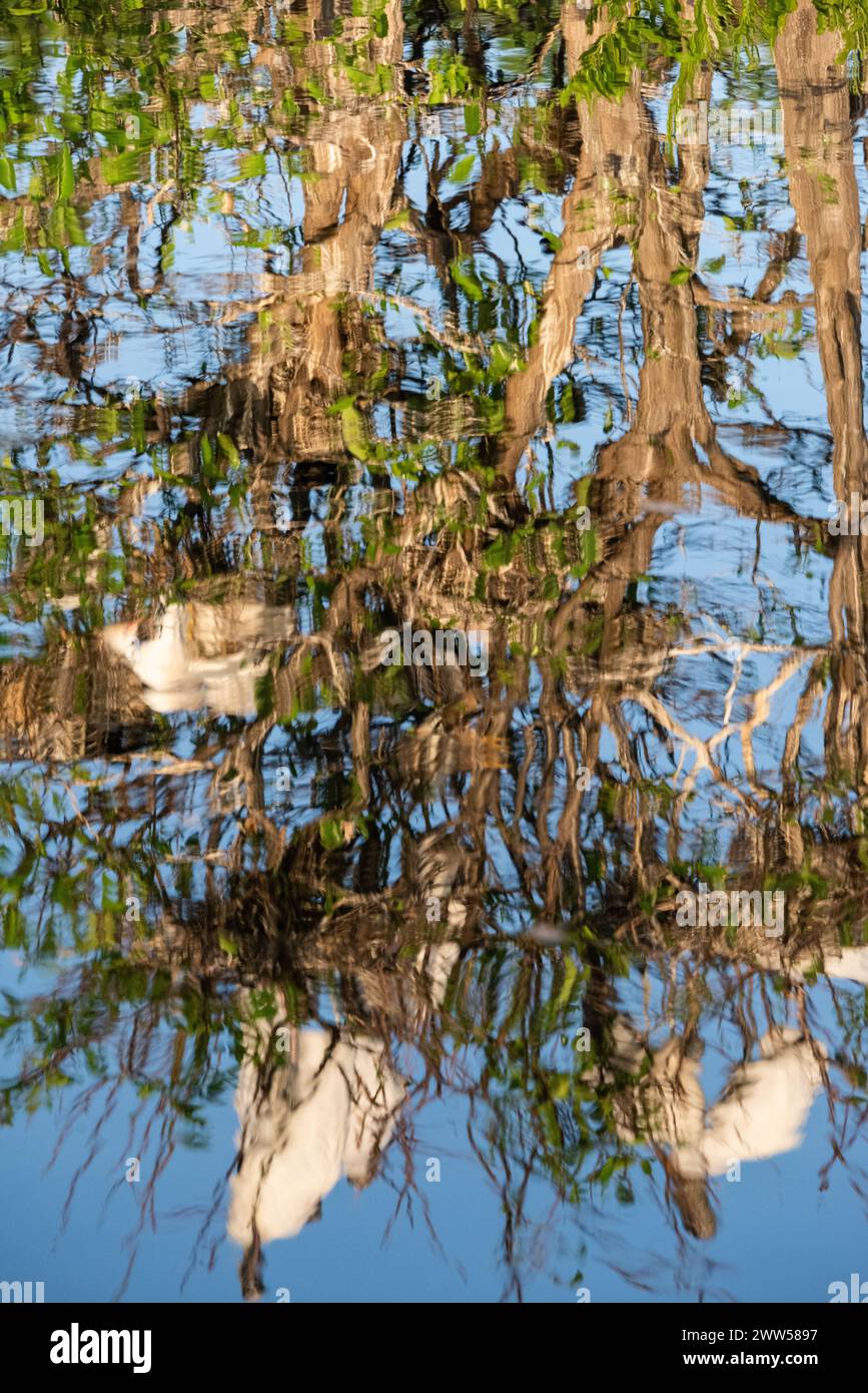 Reflexion in der See Stockfoto