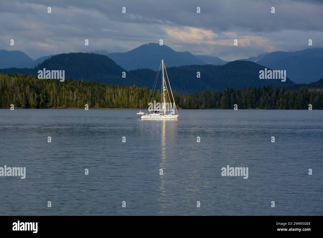 Ein Katamaran, der durch die pazifischen Gewässer des Great Bear Rainforest in der Nähe von Bella Bella, British Columbia, Kanada fährt. Stockfoto